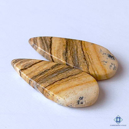 Picture Jasper