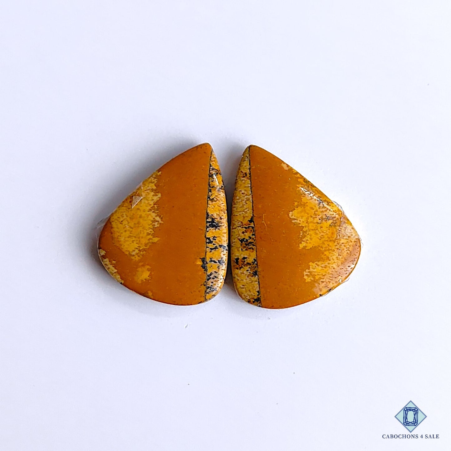 Picture Jasper