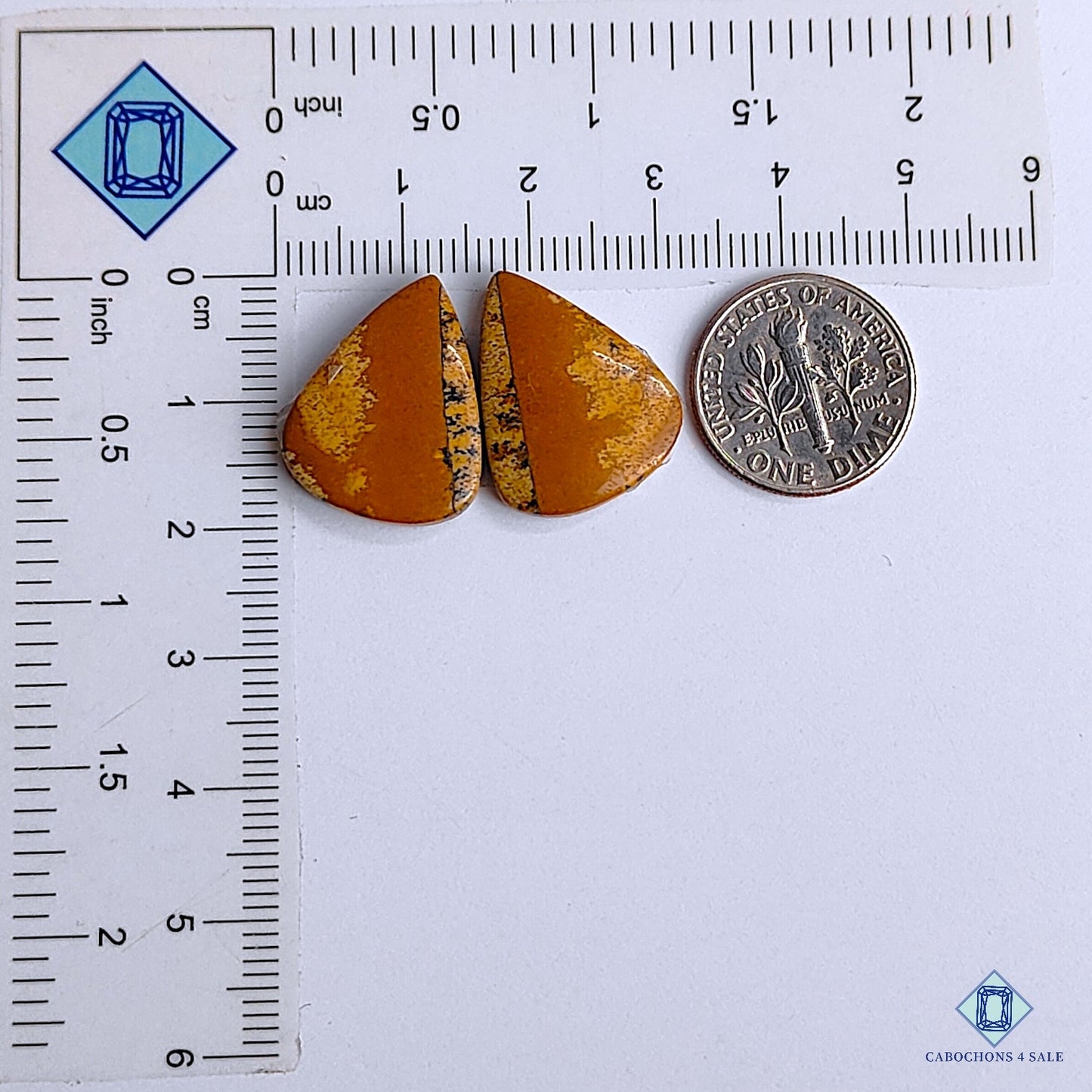 Picture Jasper
