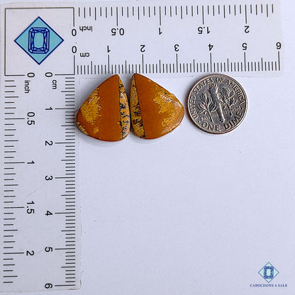 Picture Jasper