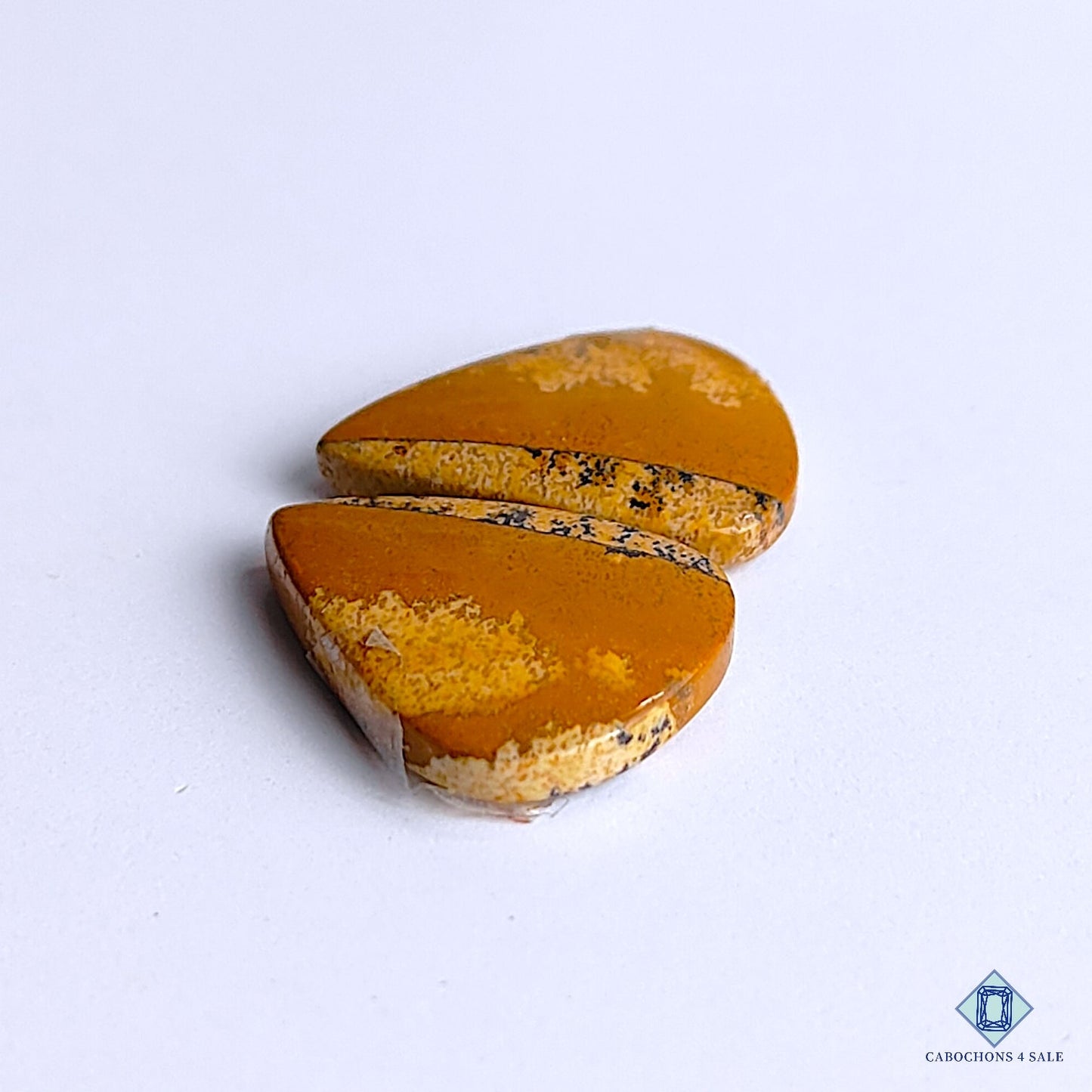 Picture Jasper