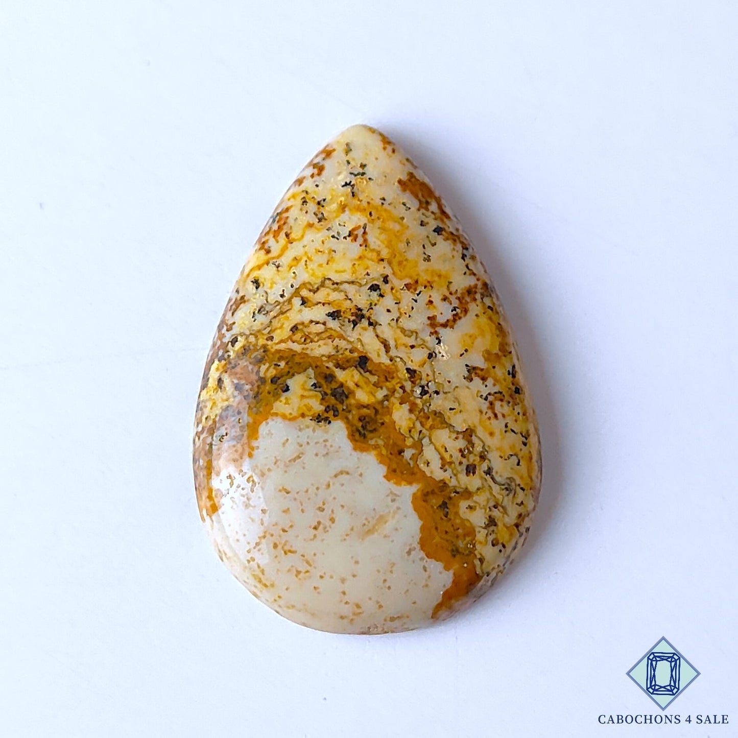 Picture Jasper