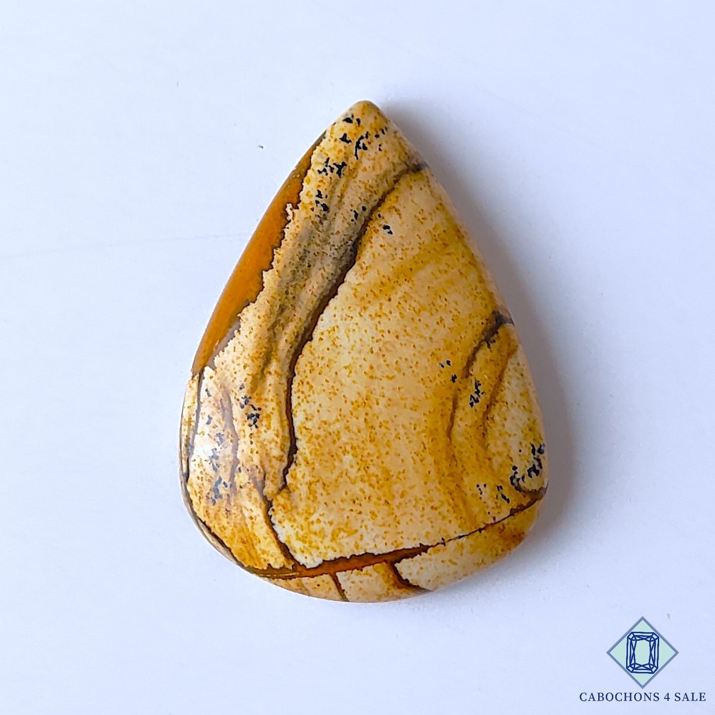 Picture Jasper