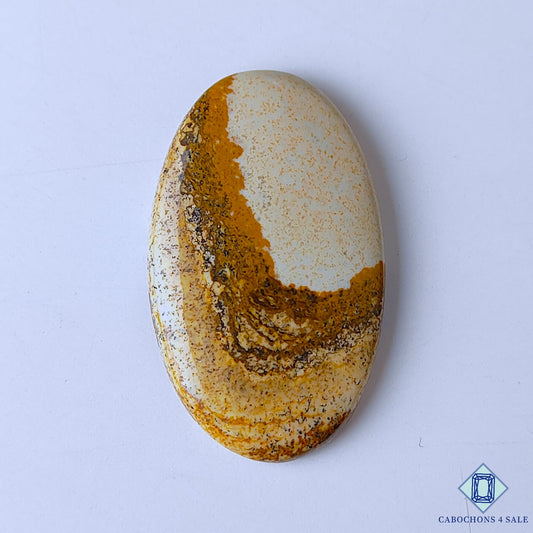 Picture Jasper