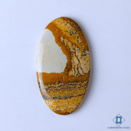Picture Jasper