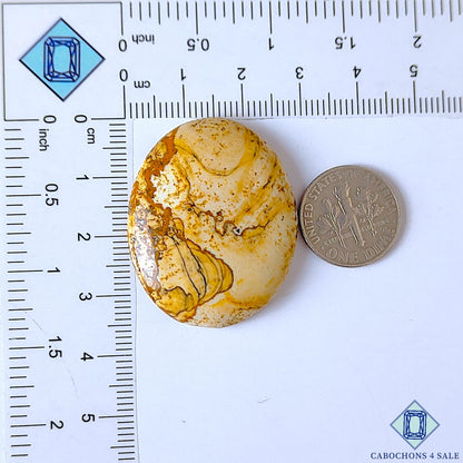 Picture Jasper
