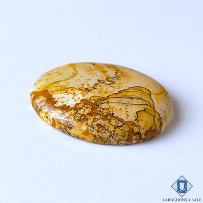 Picture Jasper