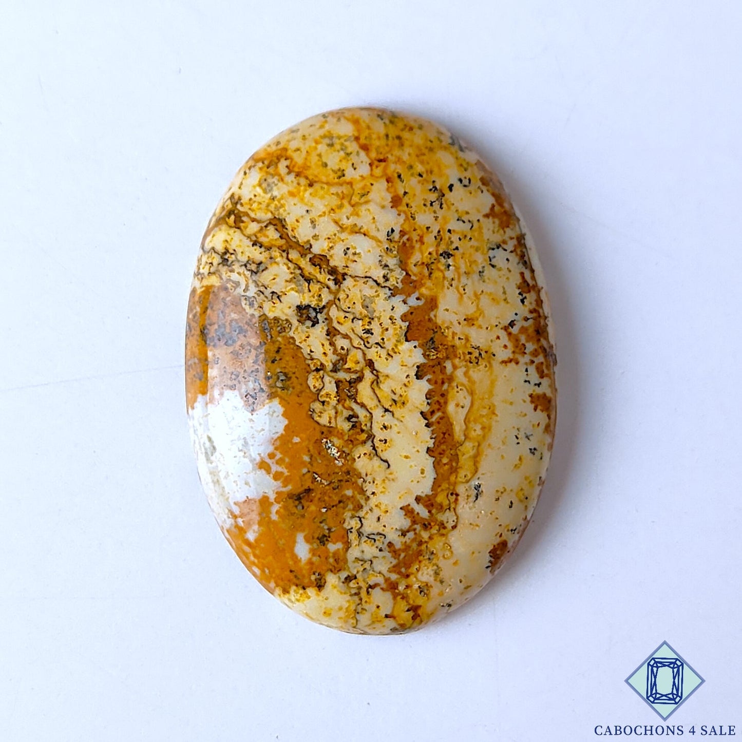 Picture Jasper