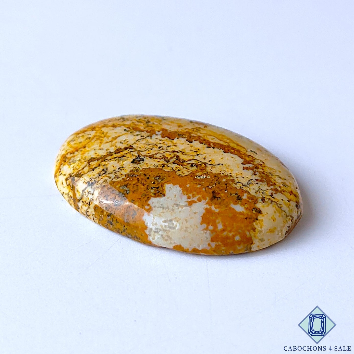 Picture Jasper