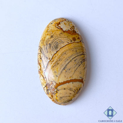 Picture Jasper