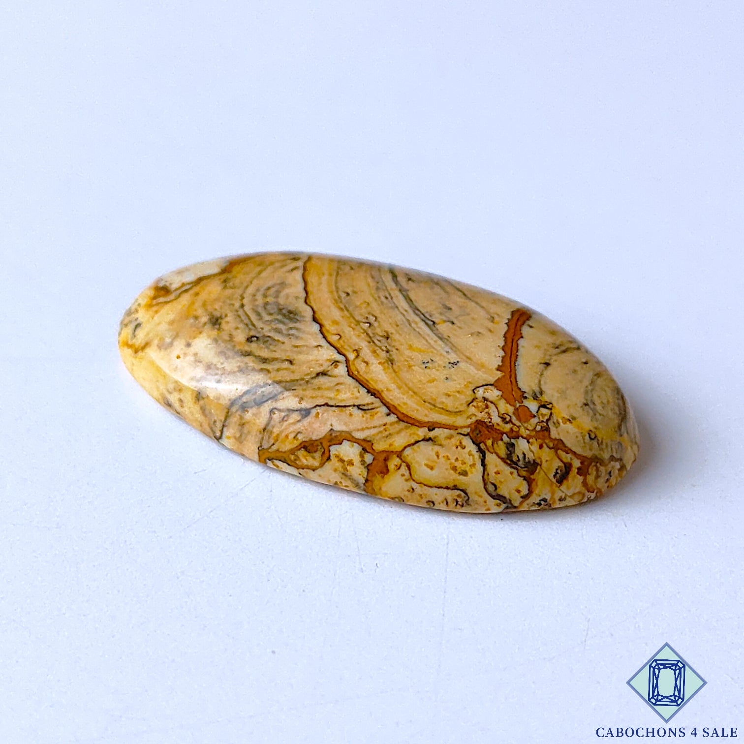 Picture Jasper