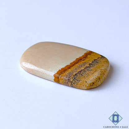 Picture Jasper