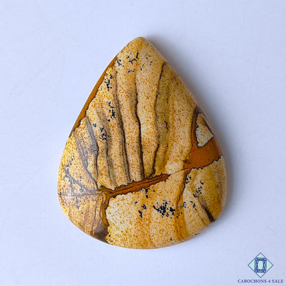 Picture Jasper