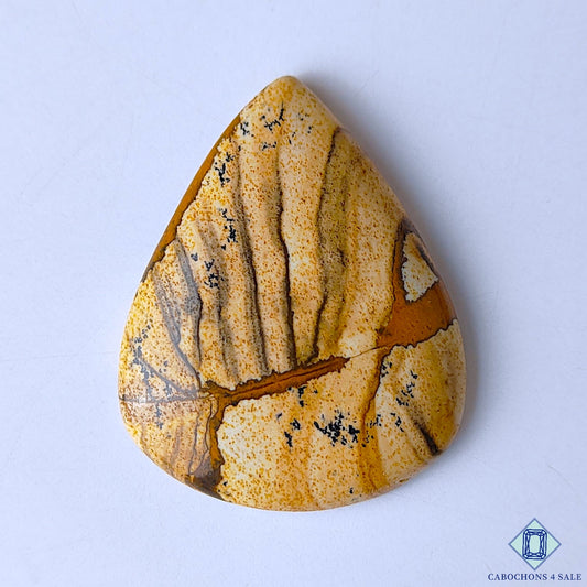 Picture Jasper