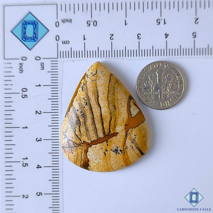Picture Jasper