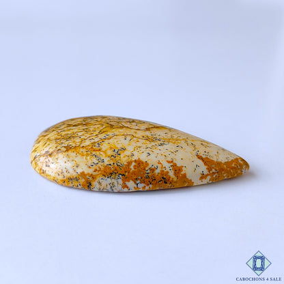 Picture Jasper