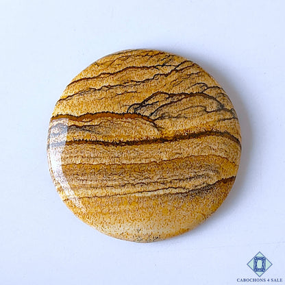 Picture Jasper