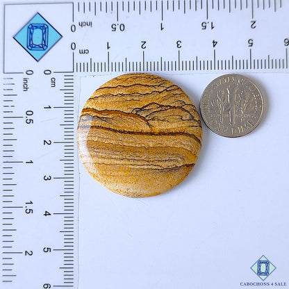 Picture Jasper