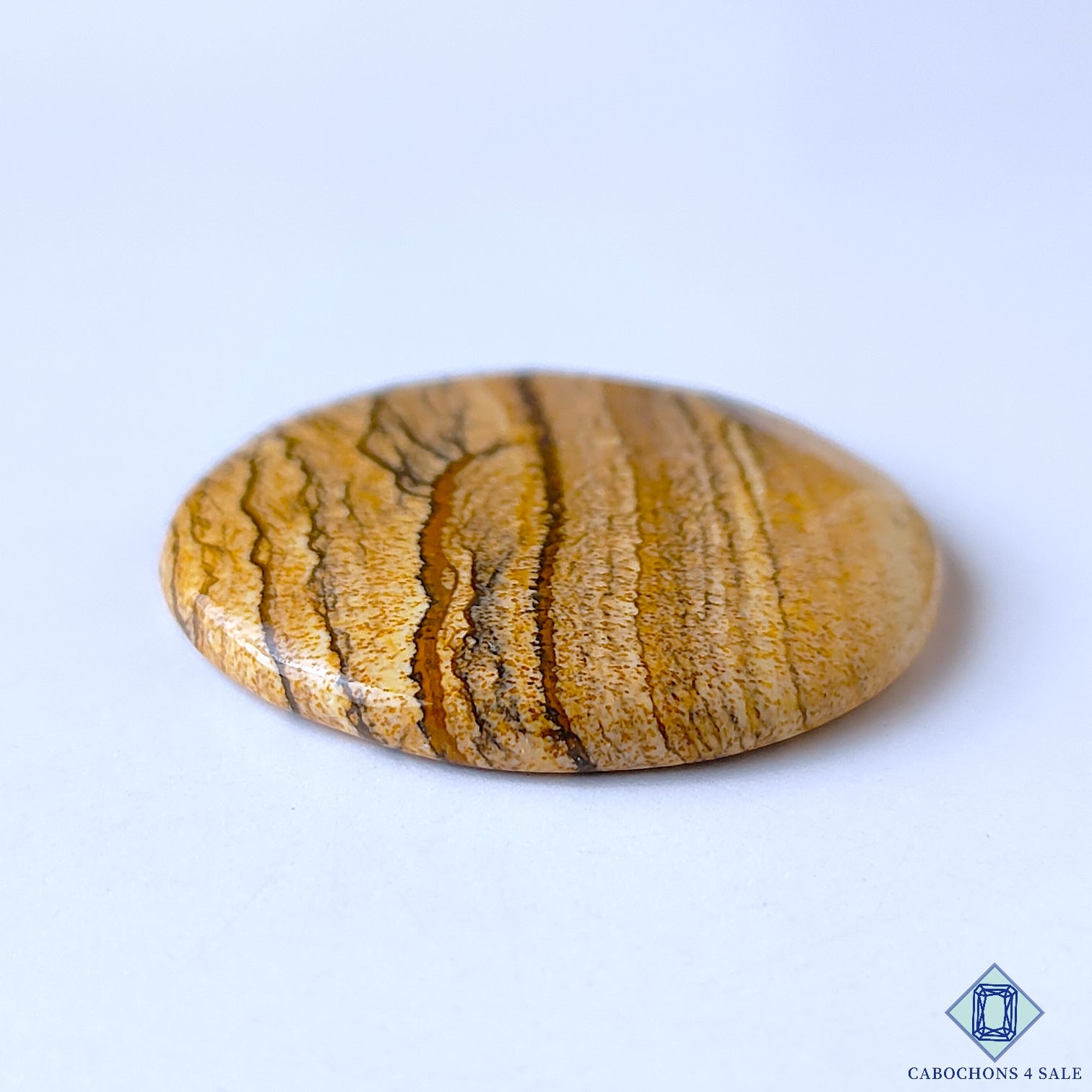 Picture Jasper