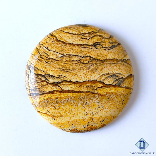 Picture Jasper