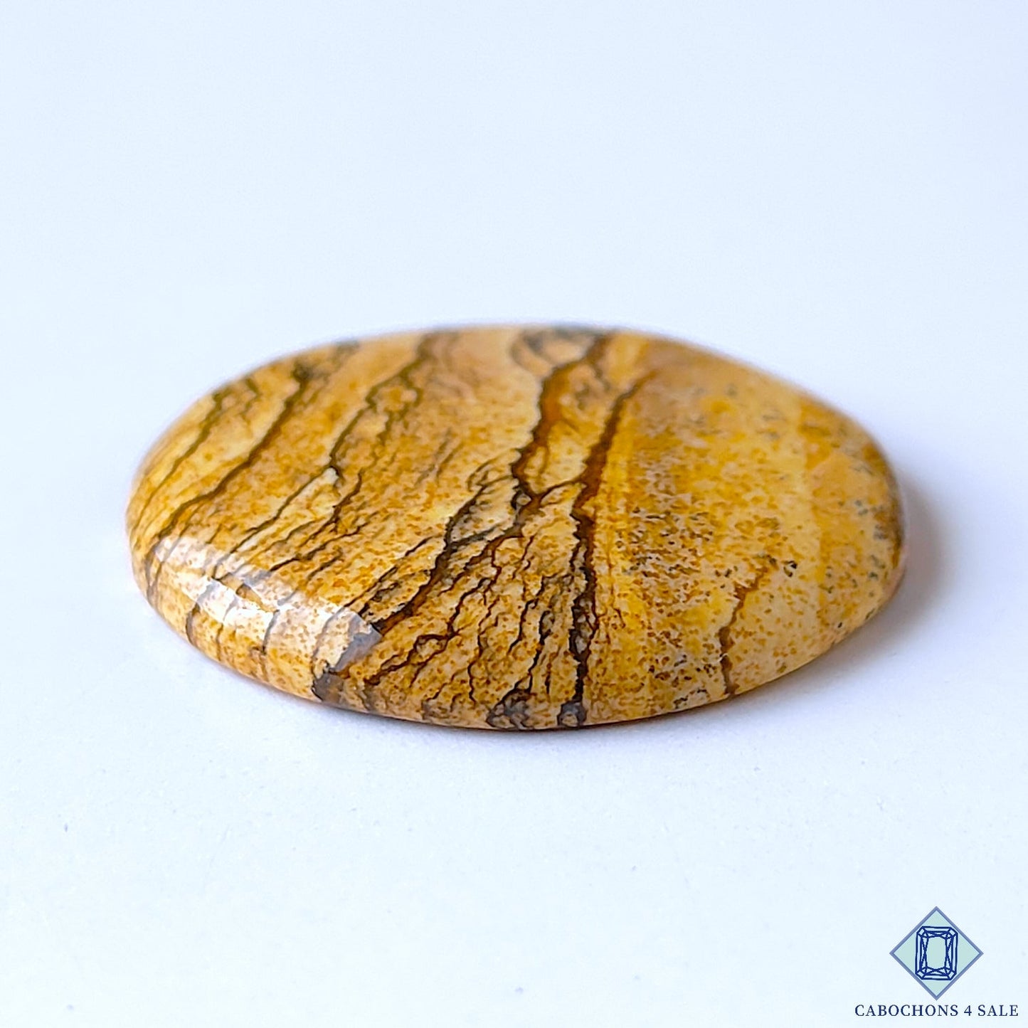 Picture Jasper