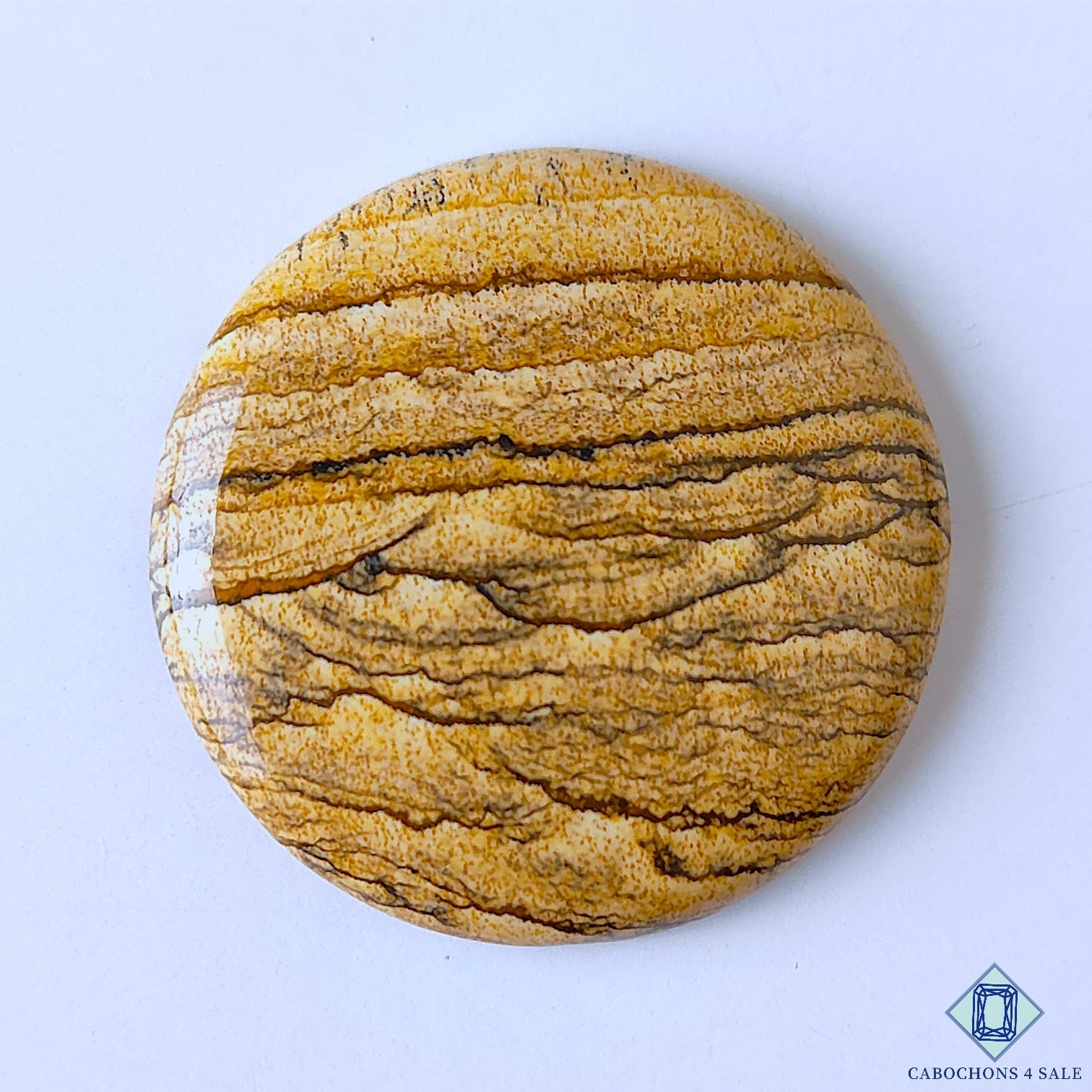 Picture Jasper