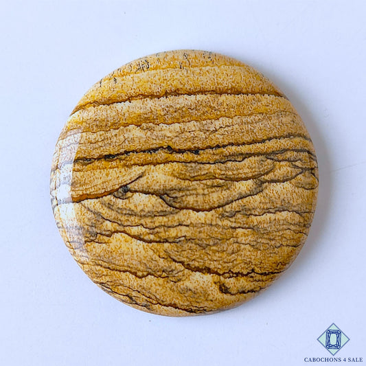 Picture Jasper