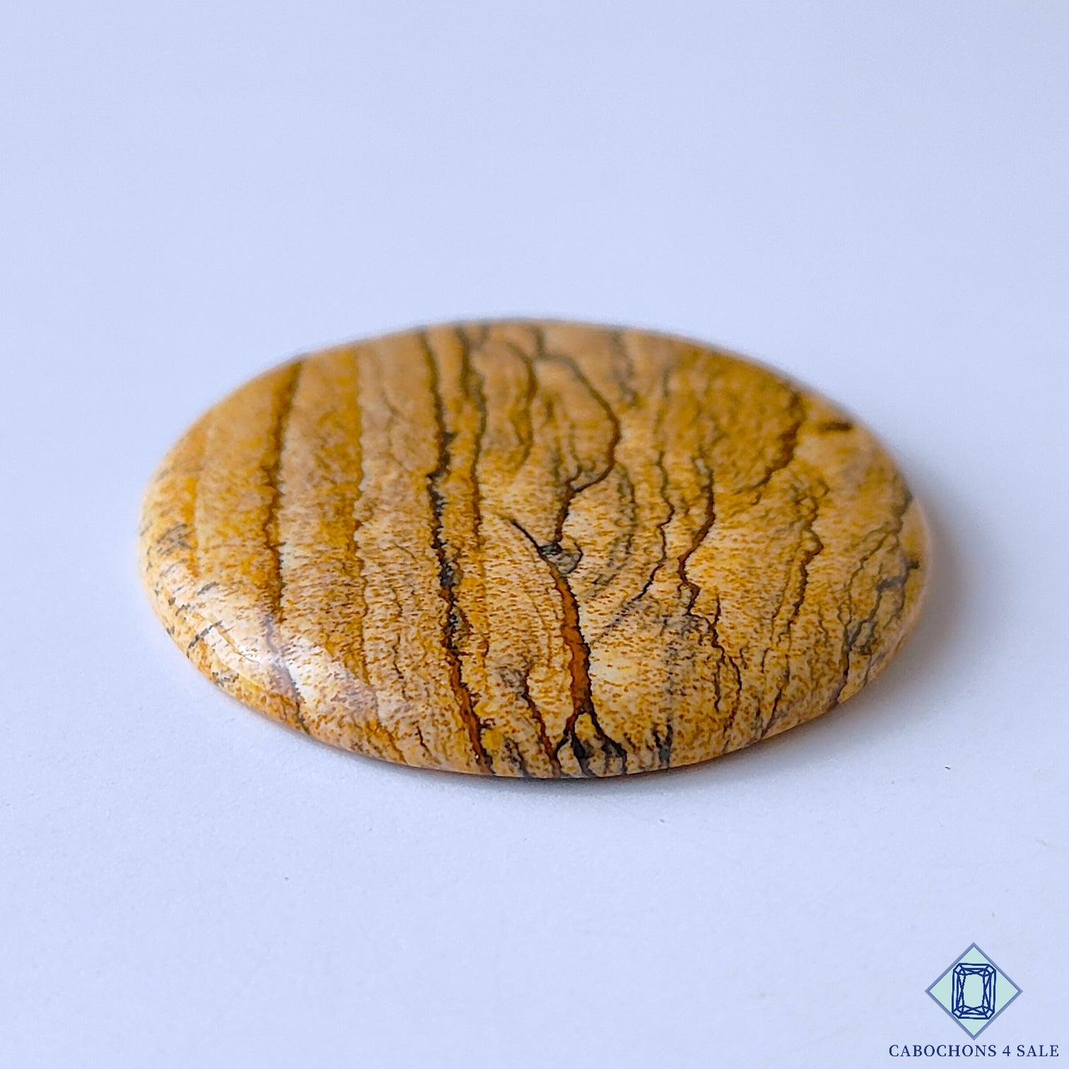 Picture Jasper