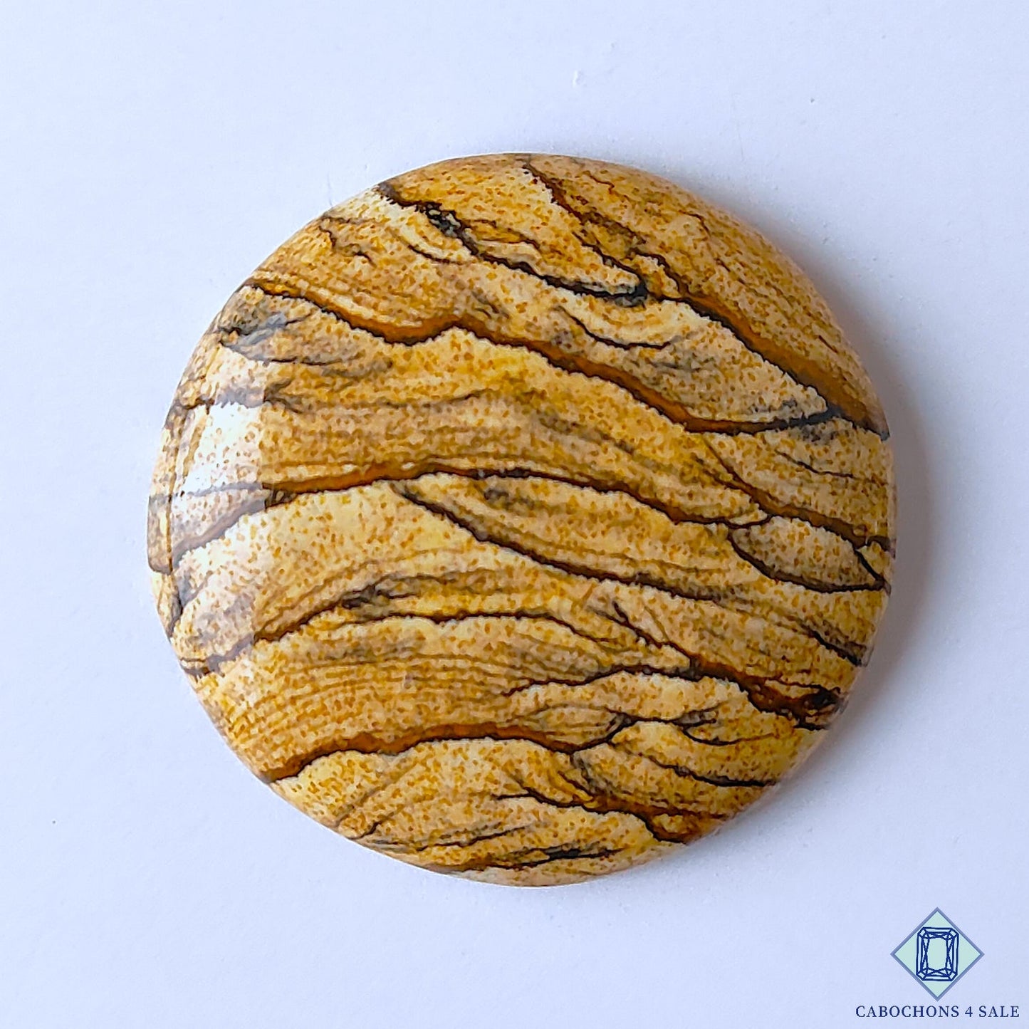 Picture Jasper