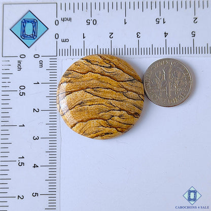 Picture Jasper