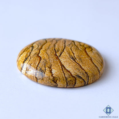 Picture Jasper