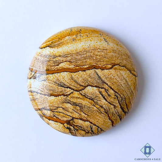 Picture Jasper