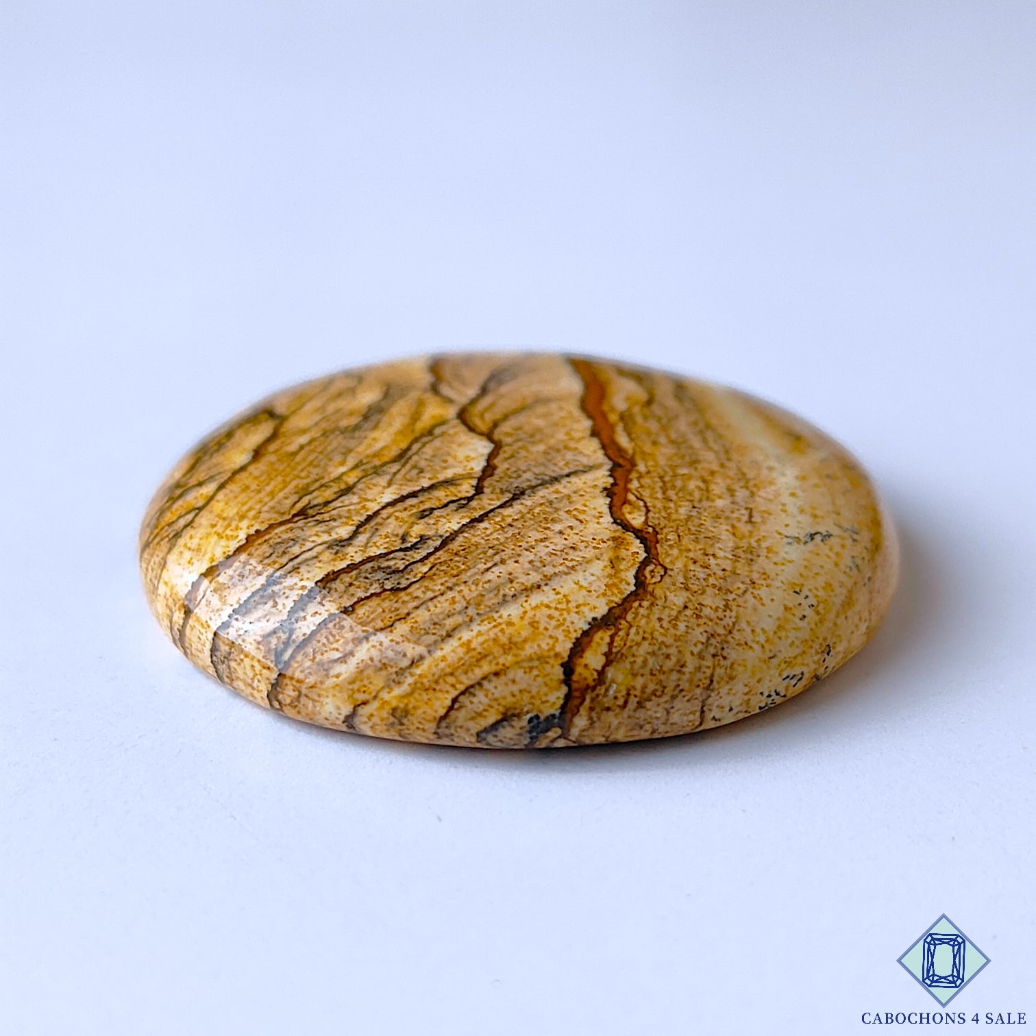 Picture Jasper