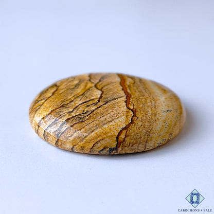 Picture Jasper