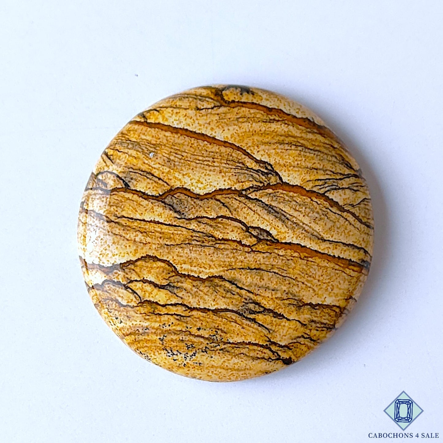 Picture Jasper
