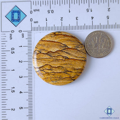 Picture Jasper