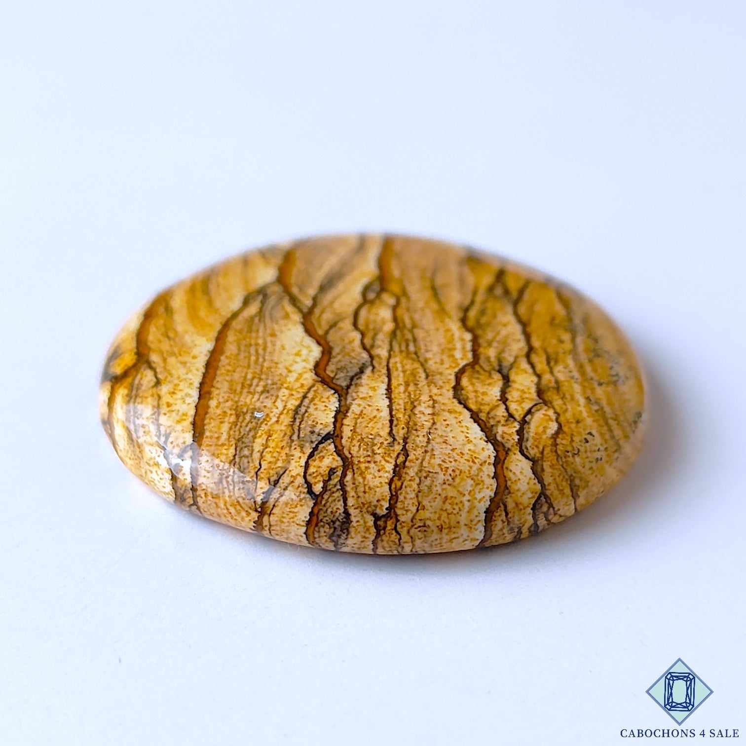 Picture Jasper