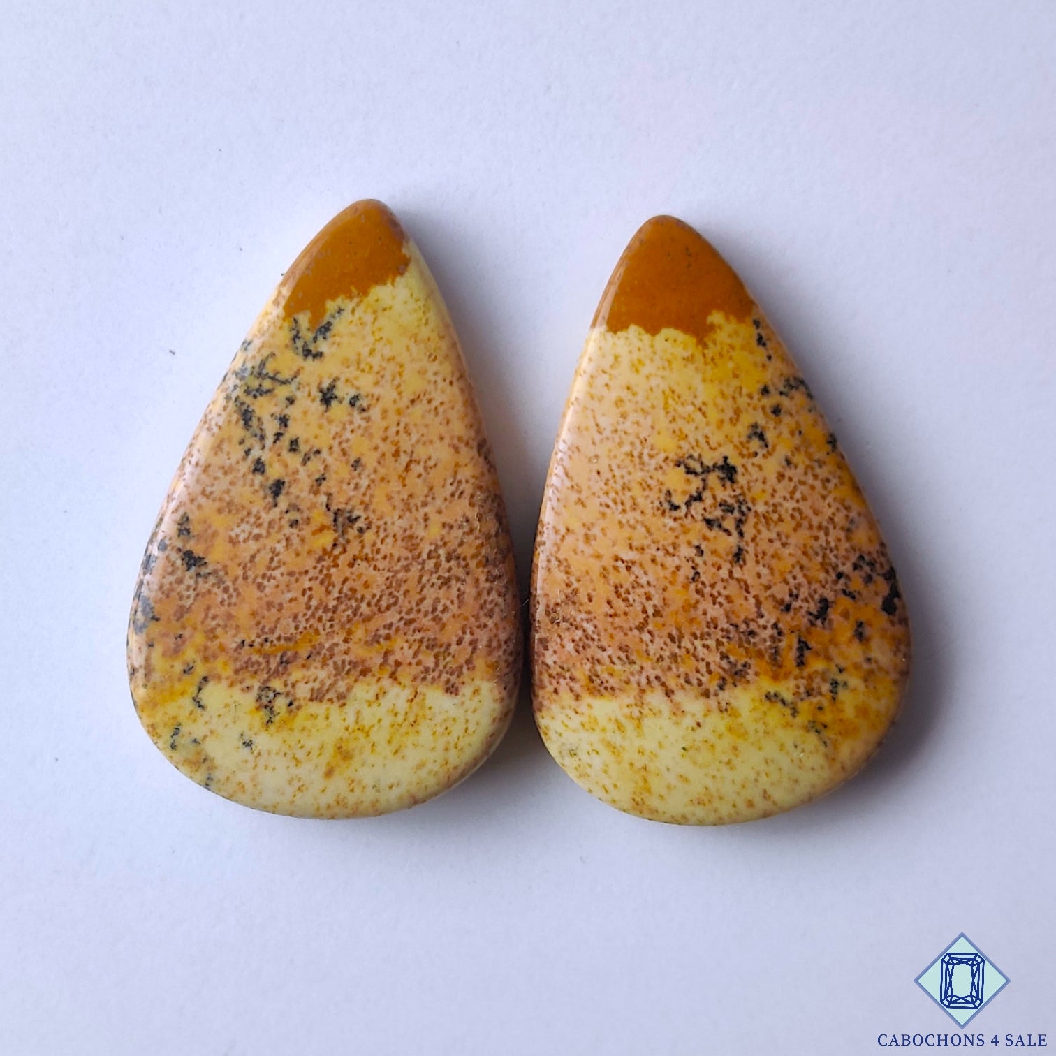 Picture Jasper