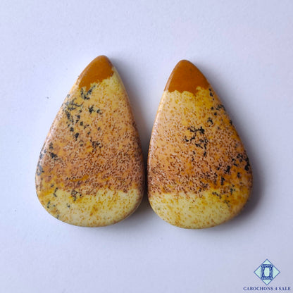 Picture Jasper