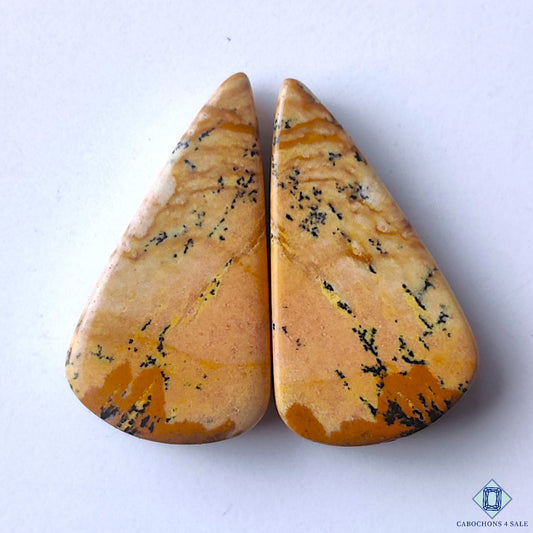 Picture Jasper