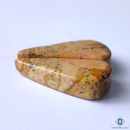 Picture Jasper