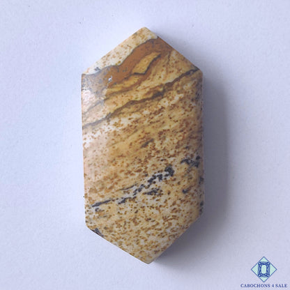 Picture Jasper
