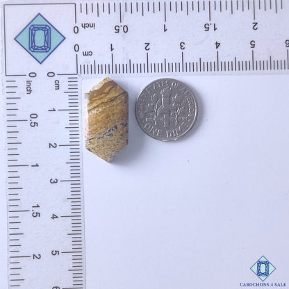 Picture Jasper