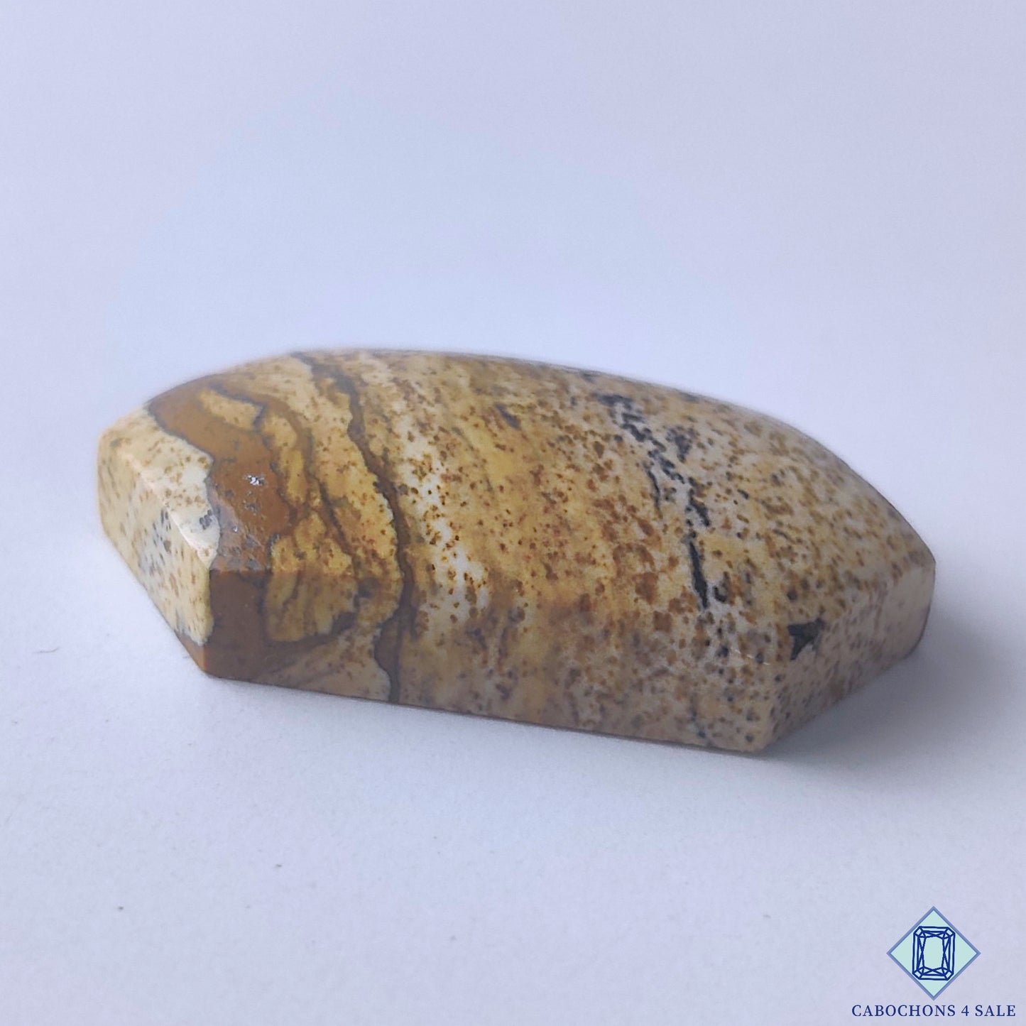 Picture Jasper