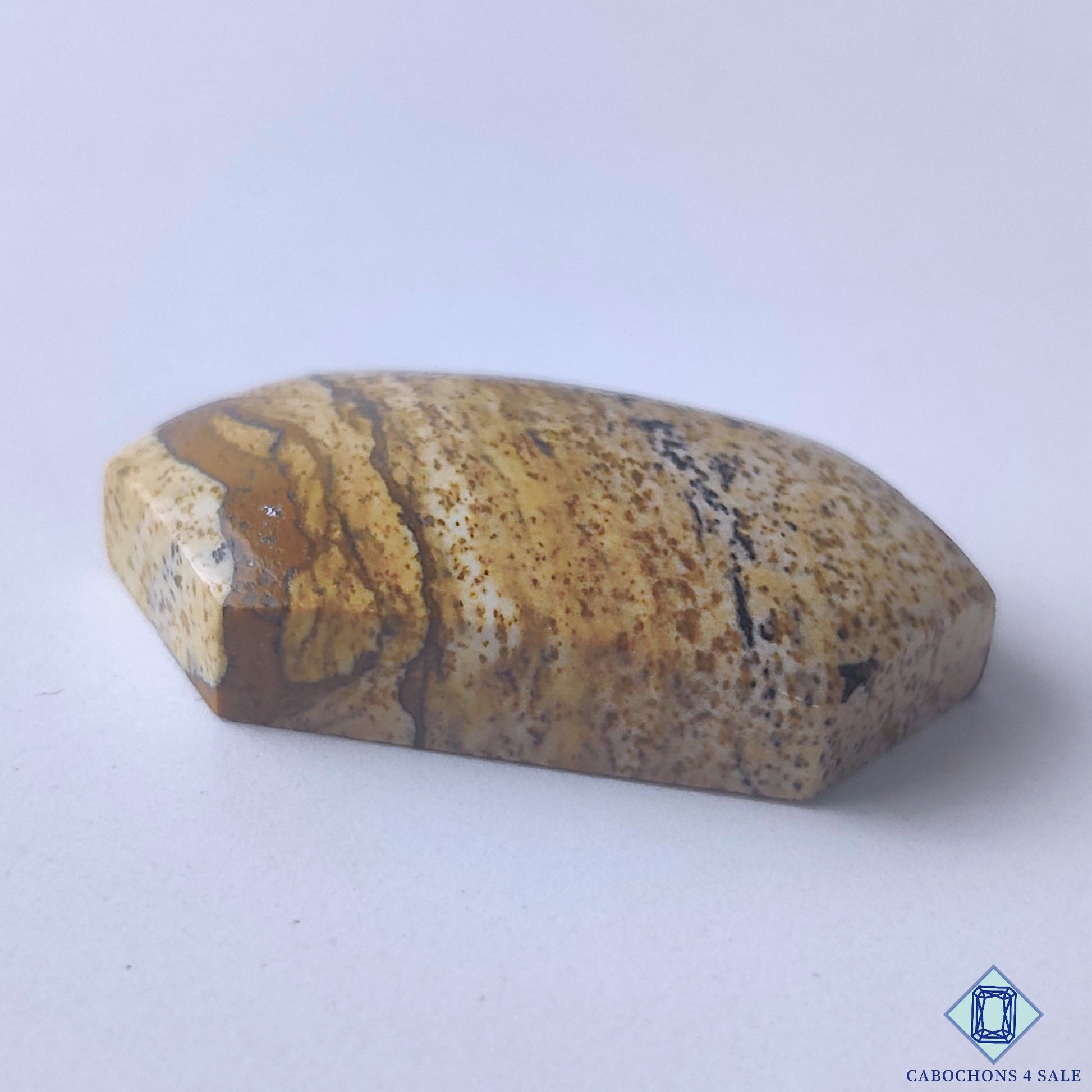Picture Jasper