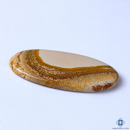 Picture Jasper