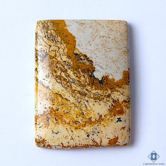 Picture Jasper