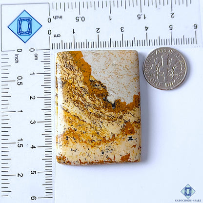 Picture Jasper