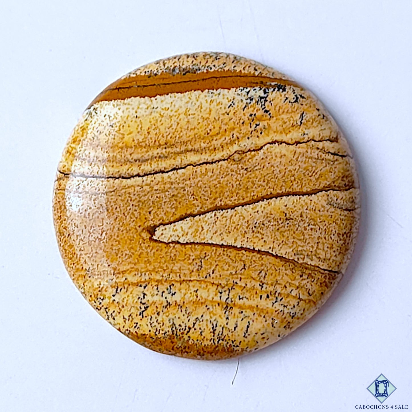 Picture Jasper