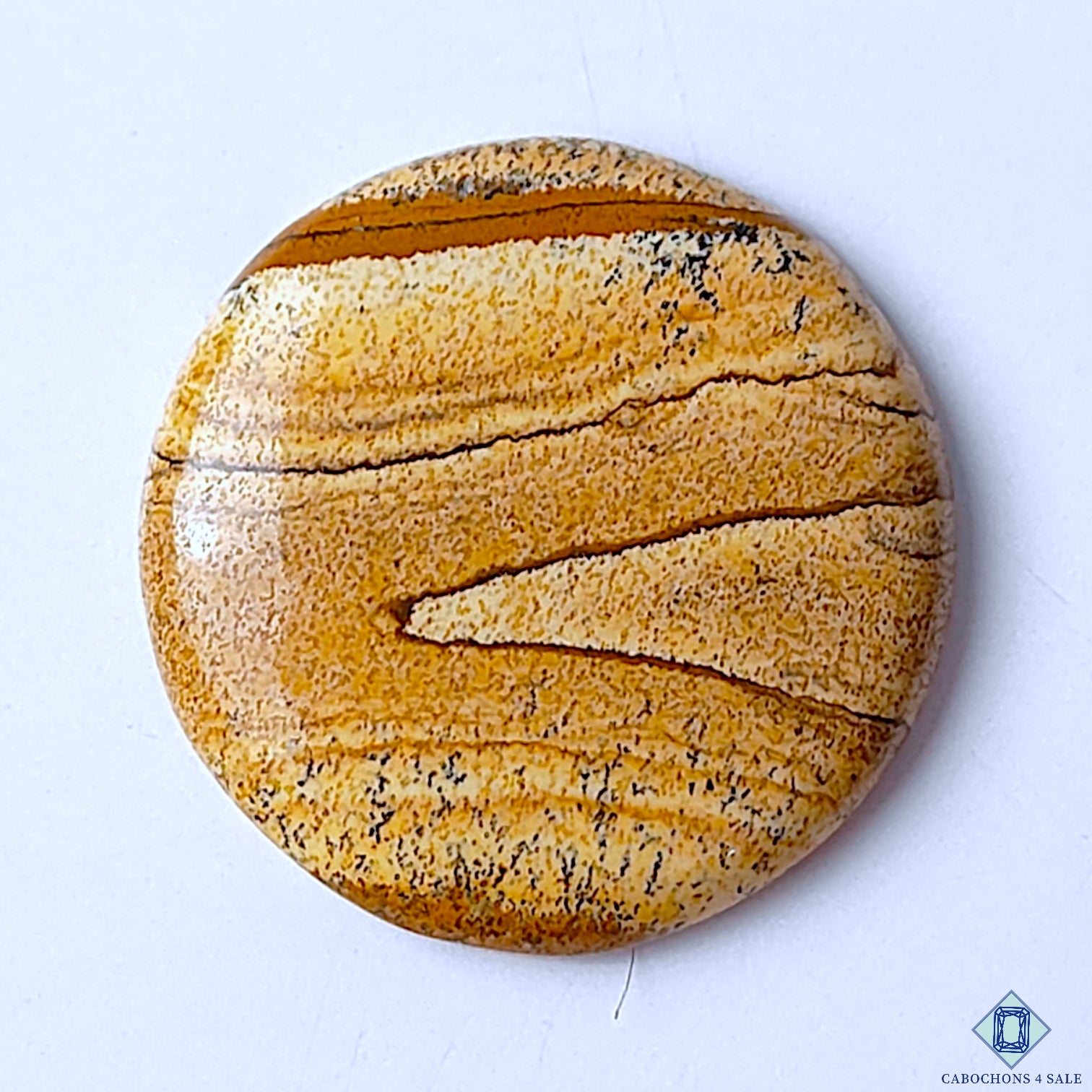 Picture Jasper